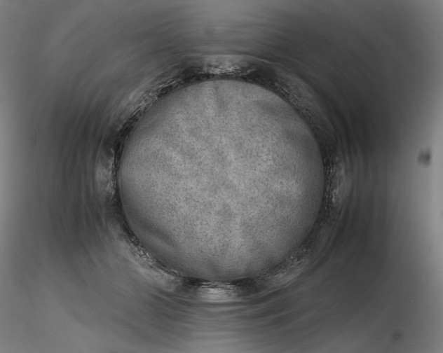 X0000116460510200912231404