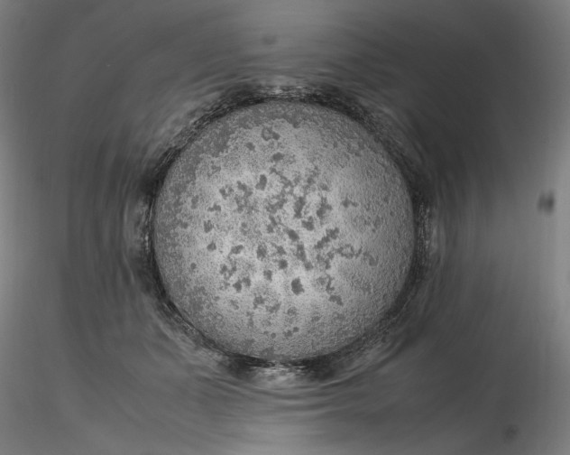 X0000116460511200912231404