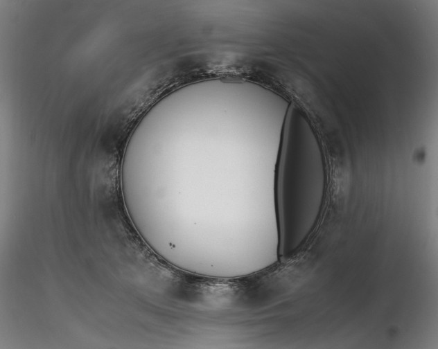 X0000116460513200912231403