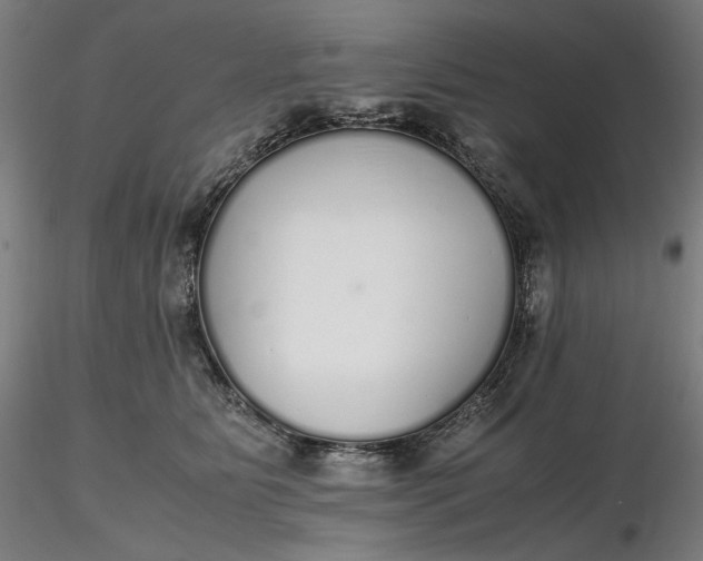 X0000116460515200912231403