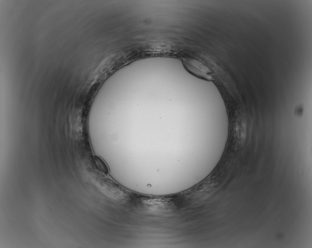 X0000116460516200912231403