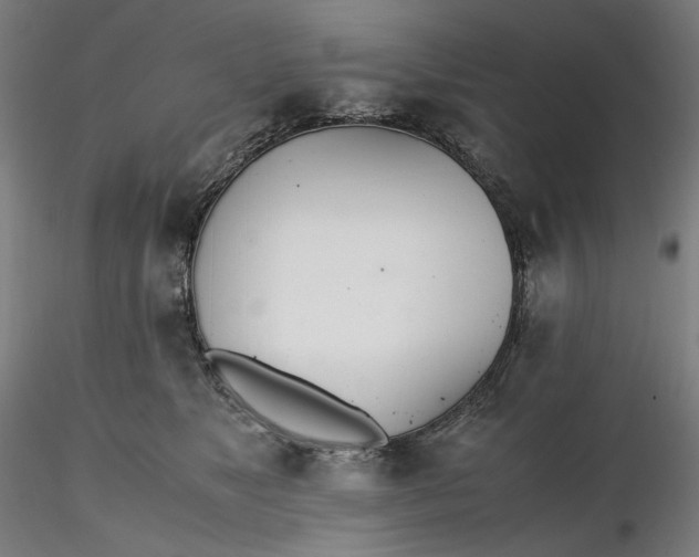 X0000116460517200912231403