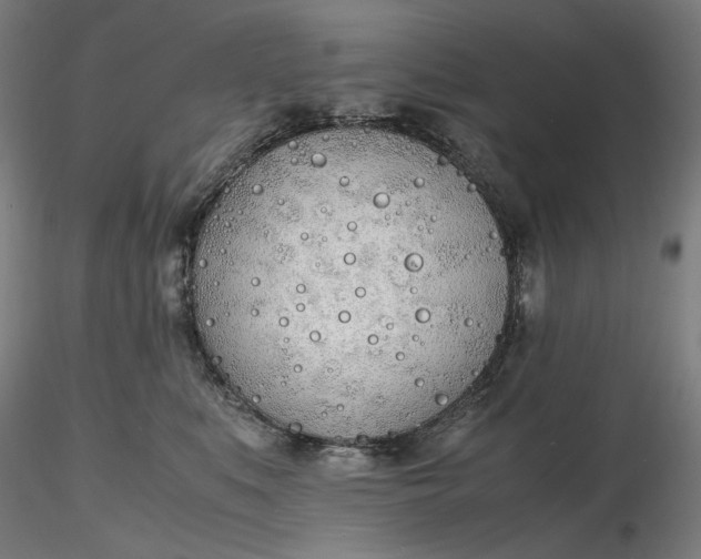 X0000116460519200912231403