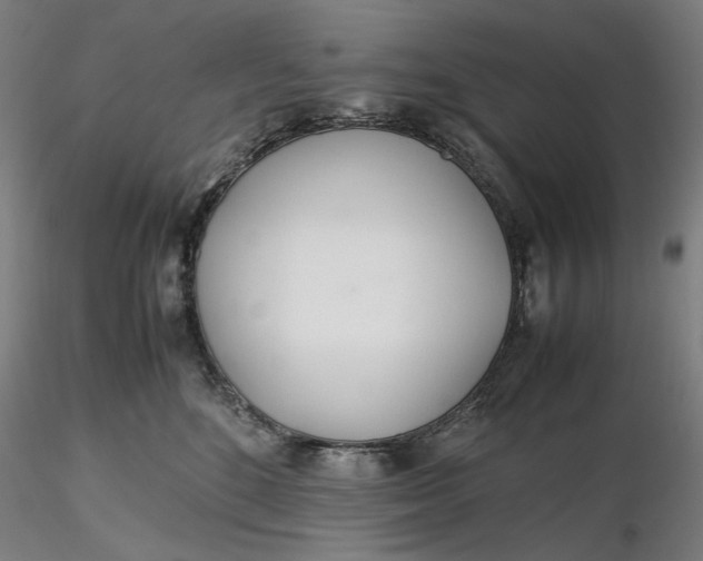 X0000116460520200912231403