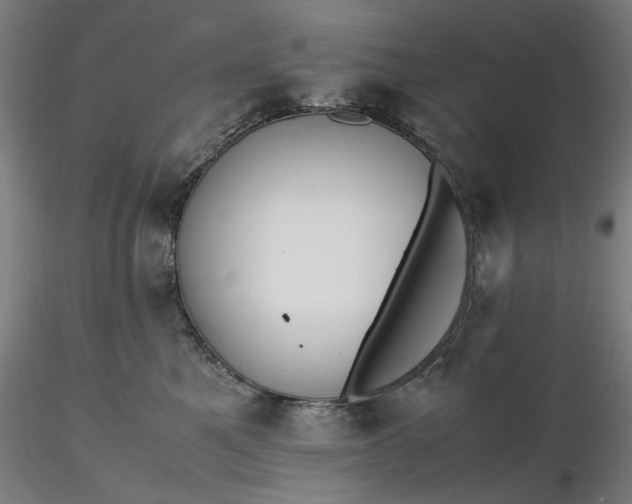 X0000116460521200912231403