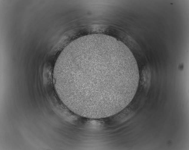 X0000116460522200912231403