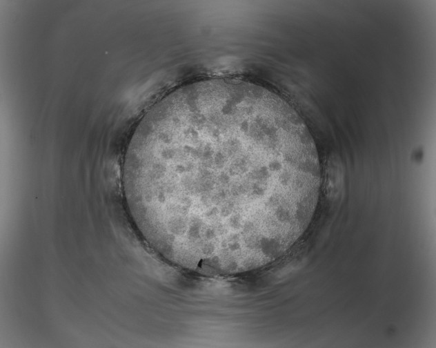 X0000116460523200912231403
