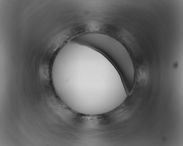 X0000116460524200912231403