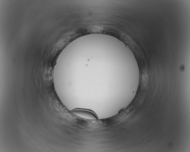 X0000116460525200912231403