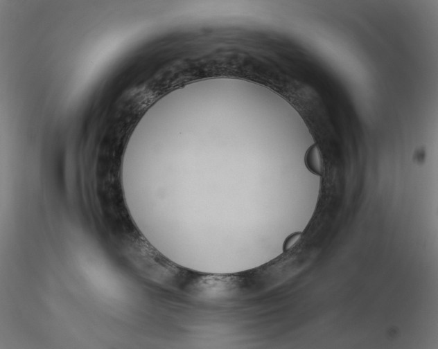 X0000116460526200912231403