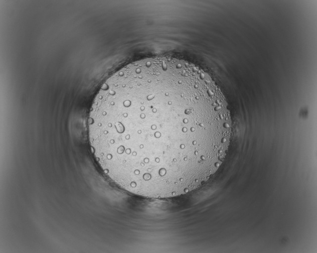 X0000116460527200912231403
