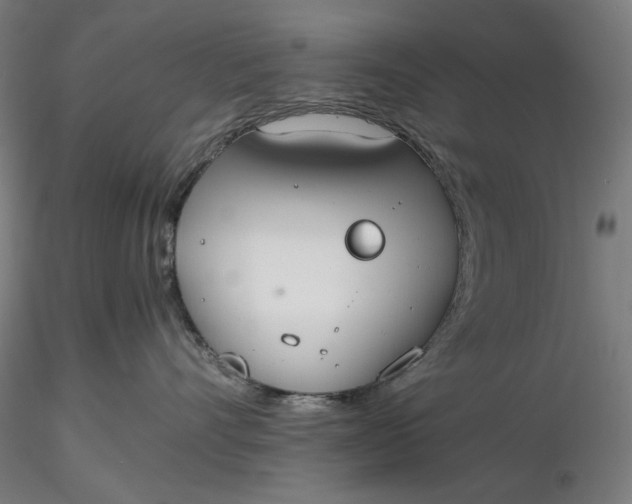 X0000116460528200912231403