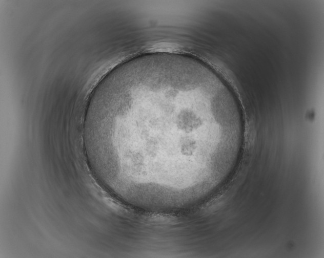 X0000116460529200912231403