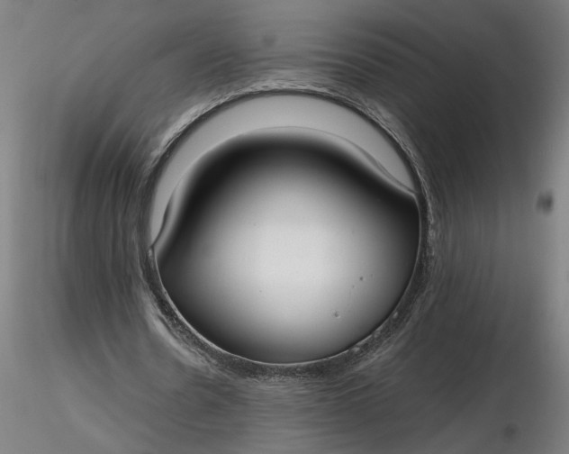 X0000116460530200912231403