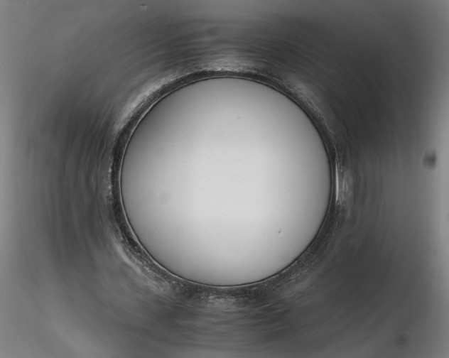 X0000116460531200912231403