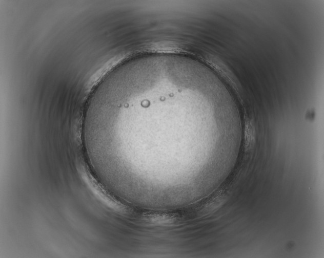 X0000116460533200912231403
