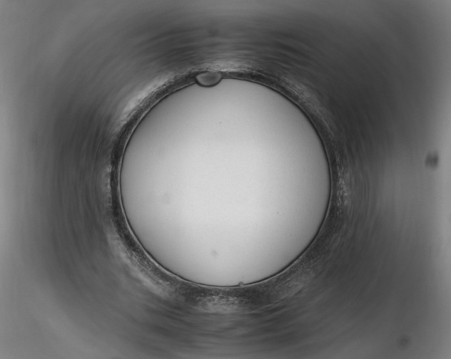 X0000116460535200912231403