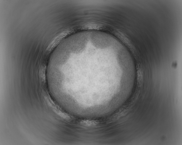 X0000116460537200912231403
