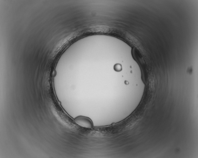 X0000116460538200912231403