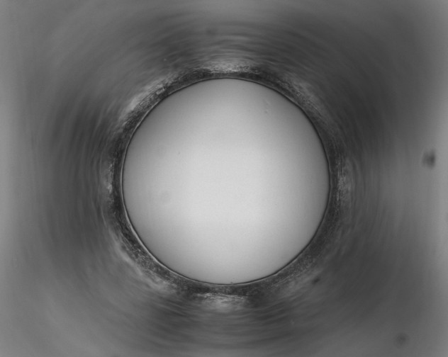 X0000116460539200912231403