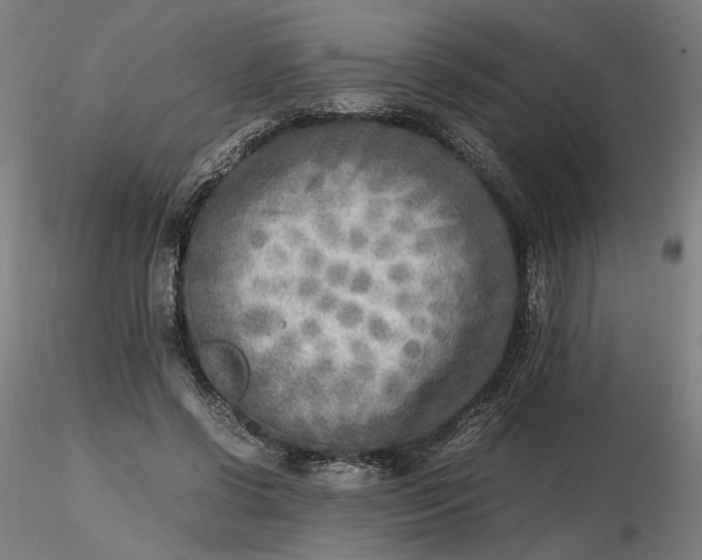X0000116460542200912231403