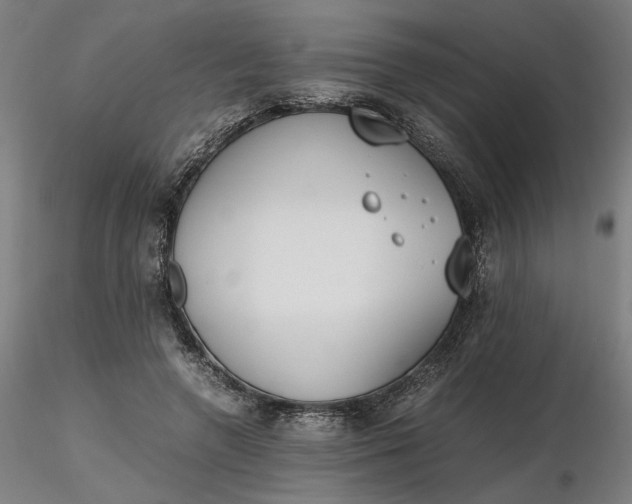 X0000116460546200912231403