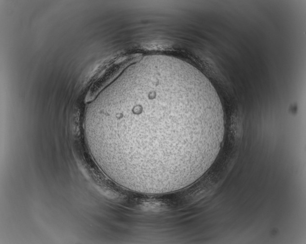 X0000116460547200912231403