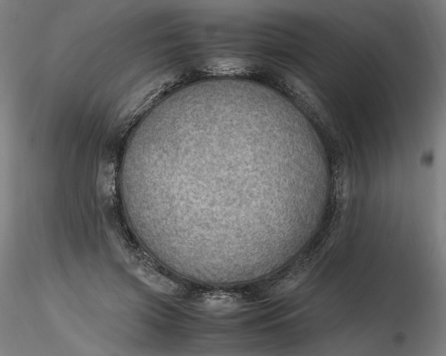X0000116460549200912231403