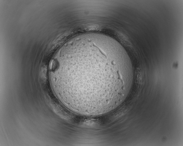 X0000116460550200912231403