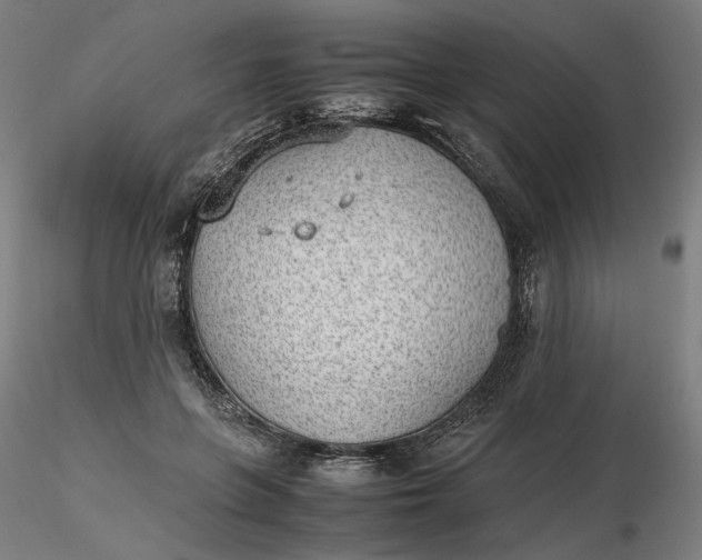 X0000116460551200912231403