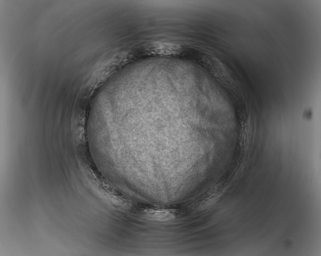 X0000116460553200912231403