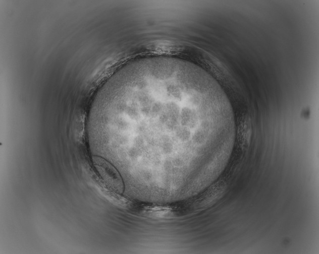 X0000116460554200912231403