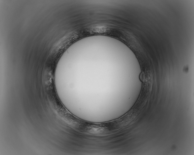 X0000116460555200912231403
