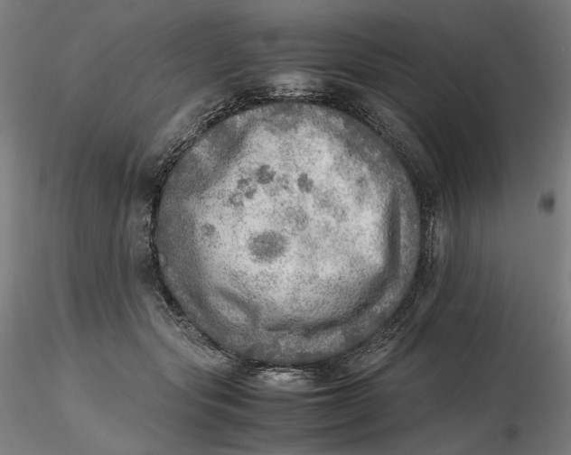 X0000116460557200912231403