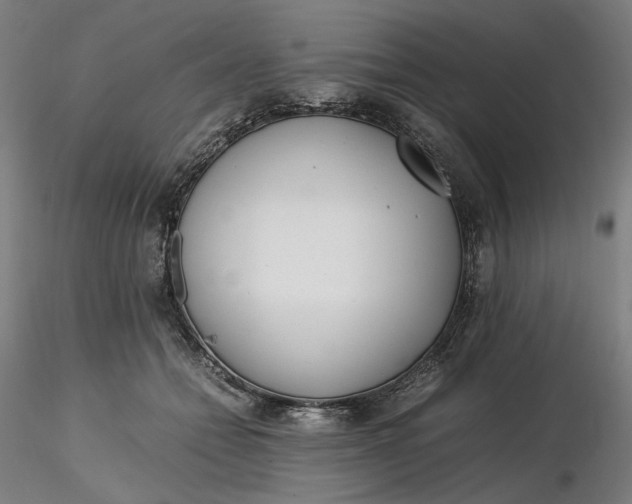 X0000116460558200912231403