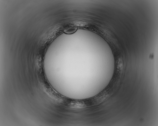 X0000116460559200912231403
