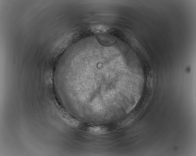 X0000116460561200912231403