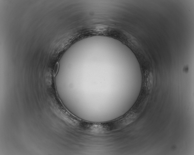 X0000116460562200912231403