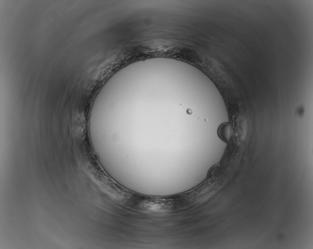 X0000116460563200912231403