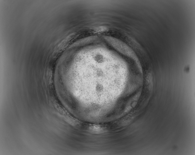 X0000116460565200912231403