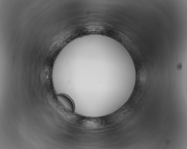 X0000116460567200912231403