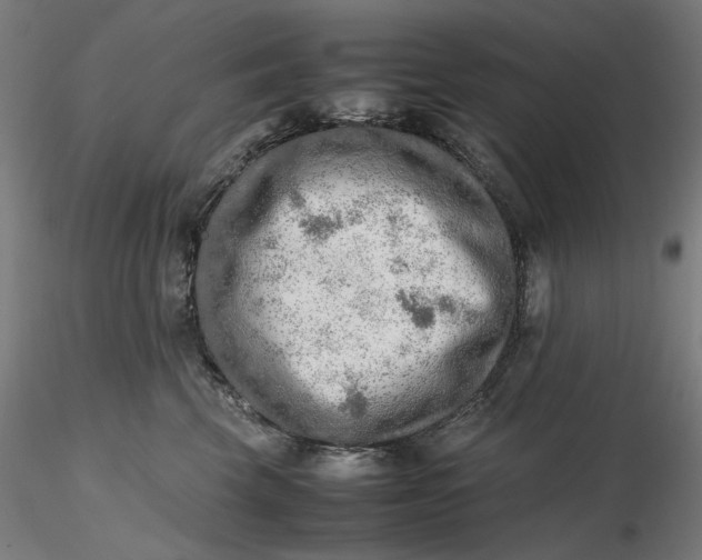 X0000116460569200912231403