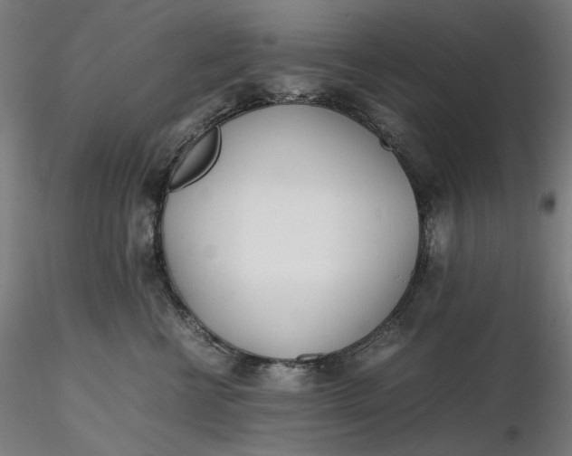 X0000116460570200912231403