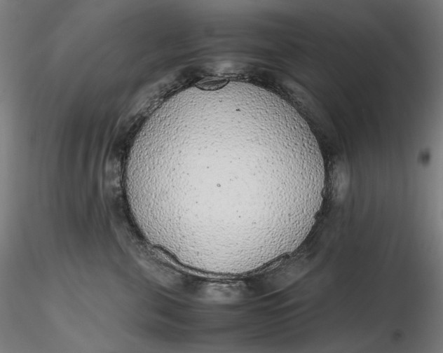 X0000116460571200912231403