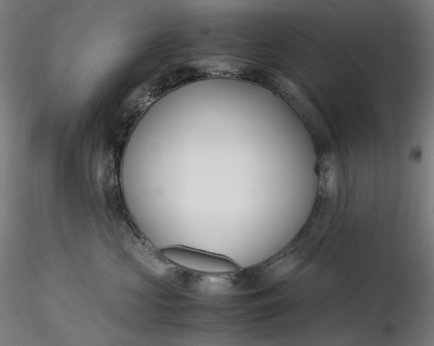 X0000116460573200912231403