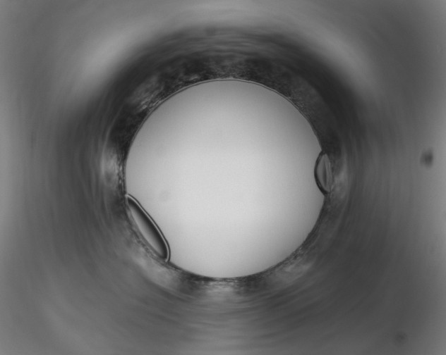 X0000116460574200912231403