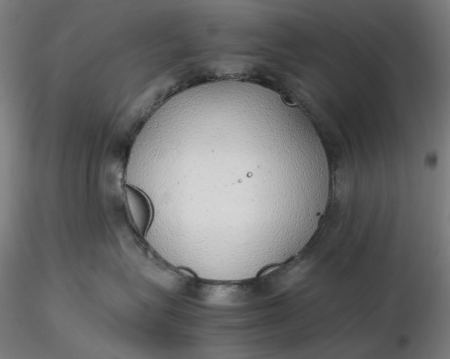 X0000116460575200912231403