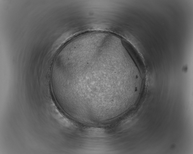 X0000116460577200912231403