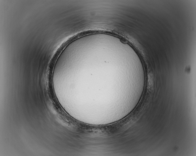 X0000116460580200912231403