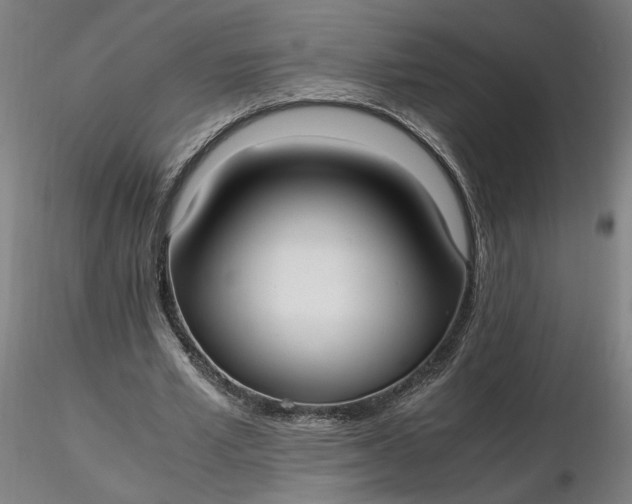 X0000116460581200912231403